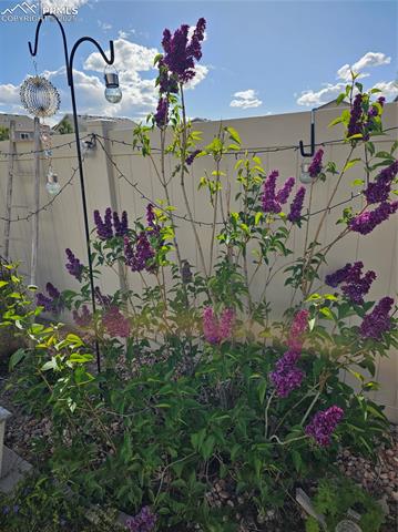 8724 Vanderwood Road