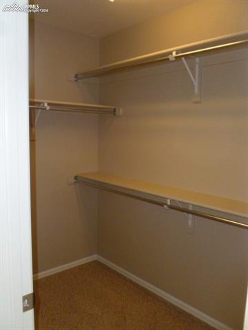 8057 Buckeye Tree Lane