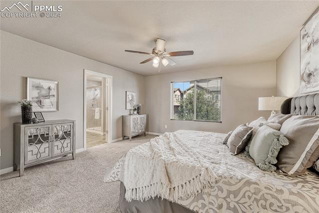 6791 Backcountry Loop