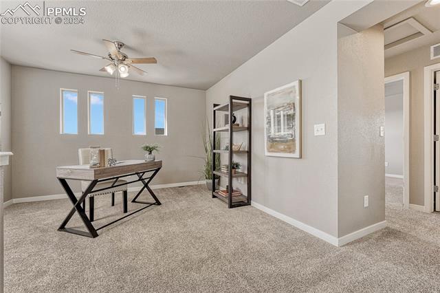 6791 Backcountry Loop