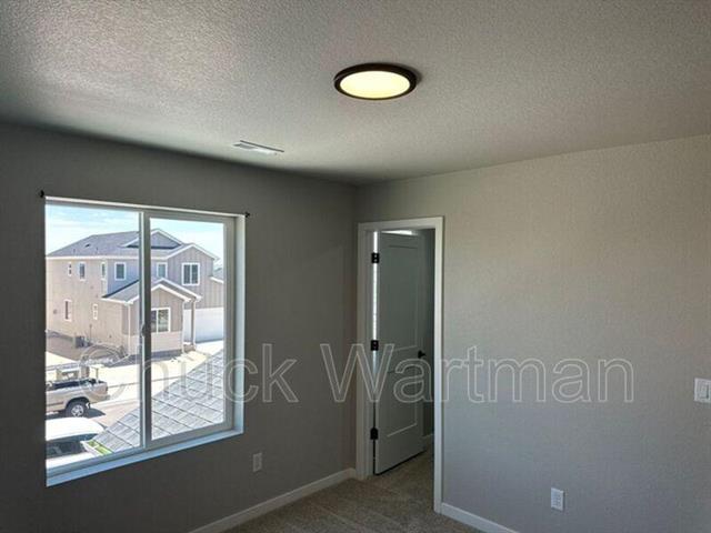 462 Blanket Flower Street