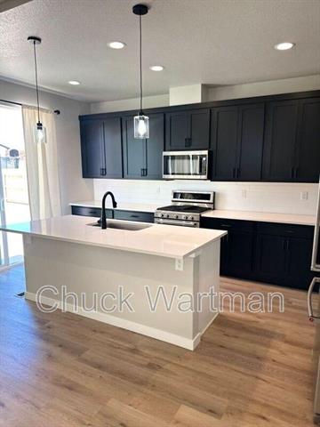 462 Blanket Flower Street