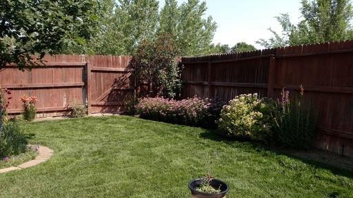 1110 Pond Side Drive