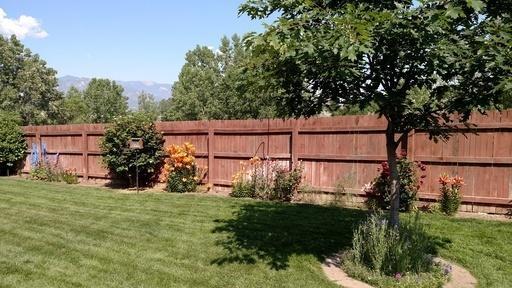 1110 Pond Side Drive