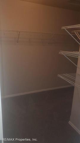 3062 Harpy Grove 11315797