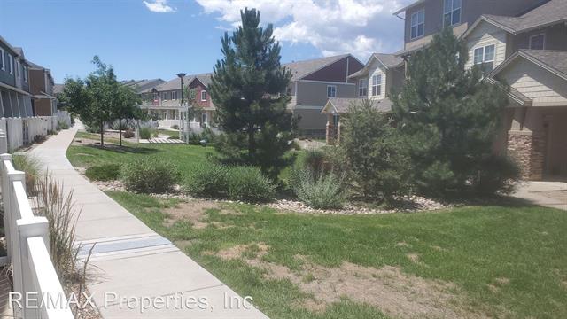 3062 Harpy Grove 11315797