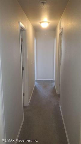 3062 Harpy Grove 11315797