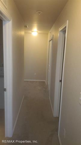 3062 Harpy Grove 11315797