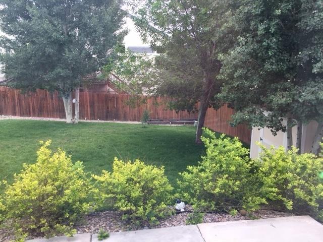 5033 Copen Drive 3696774