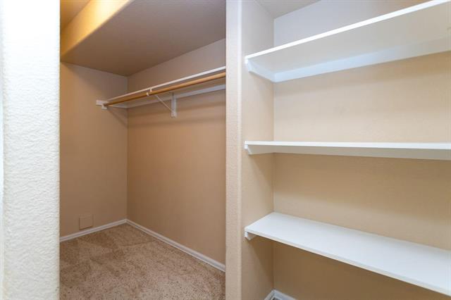 8424 Roaring Fork Drive