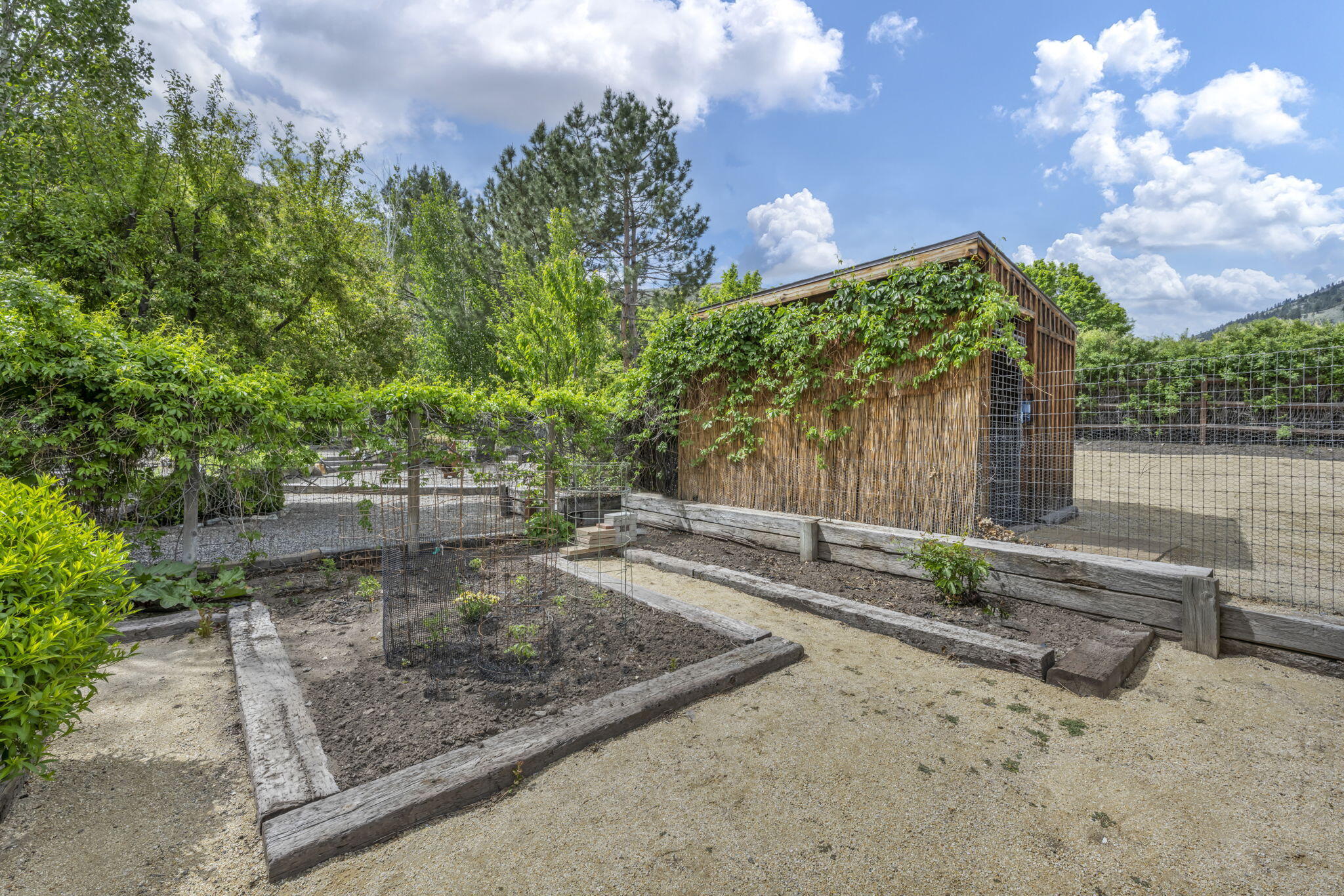 3150 Kings Canyon Road