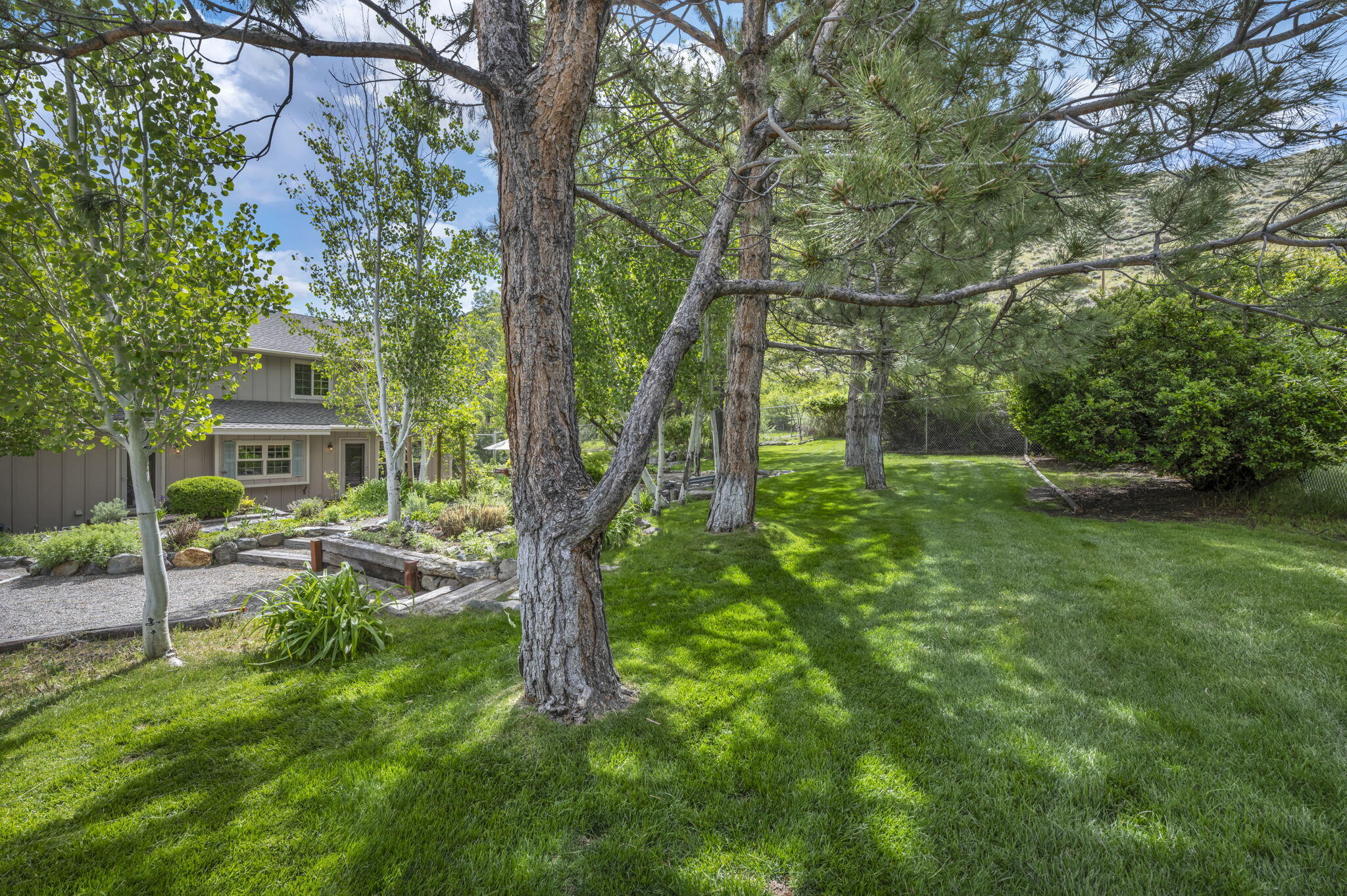 3150 Kings Canyon Road