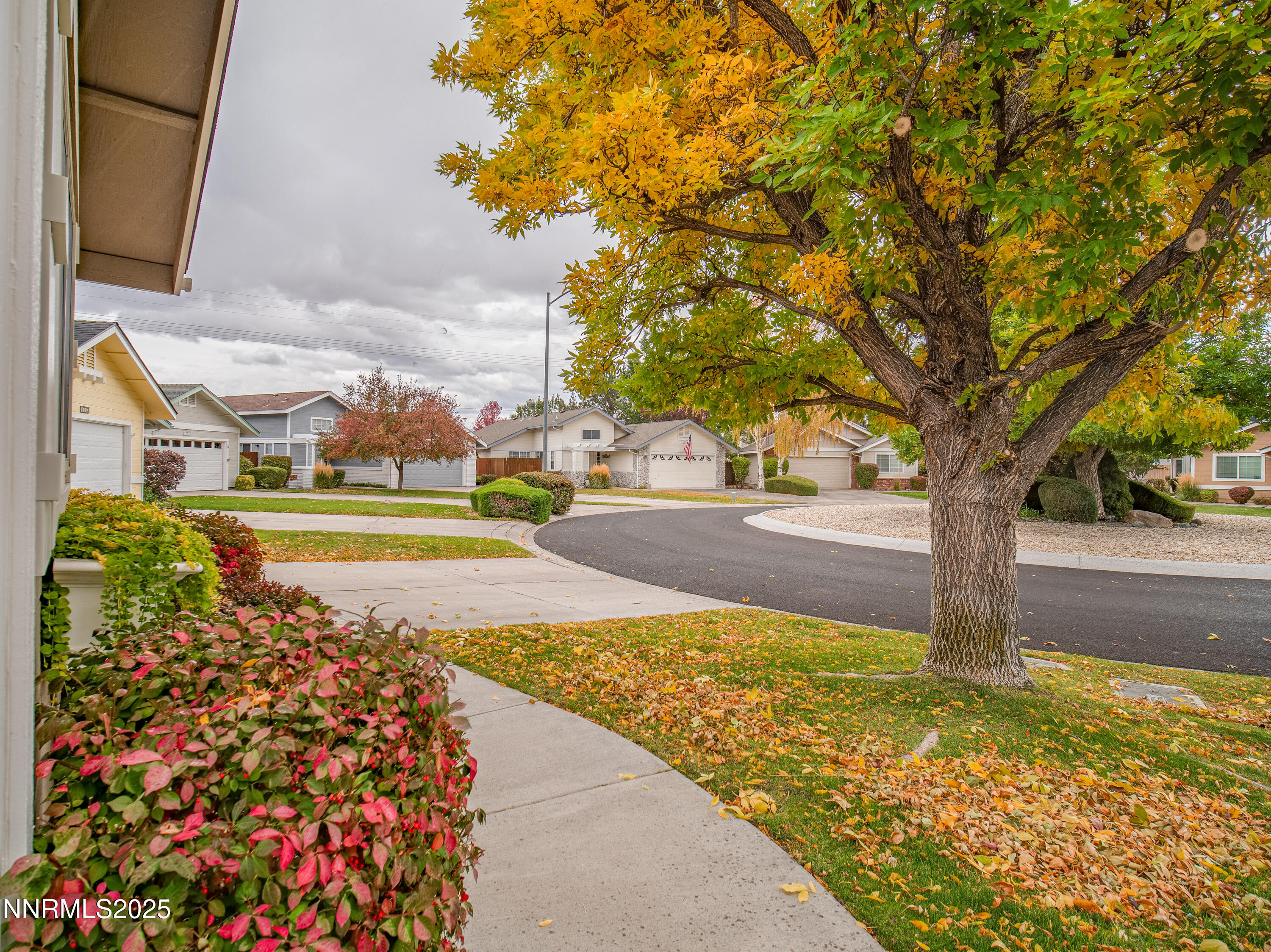1769 Evergreen Court
