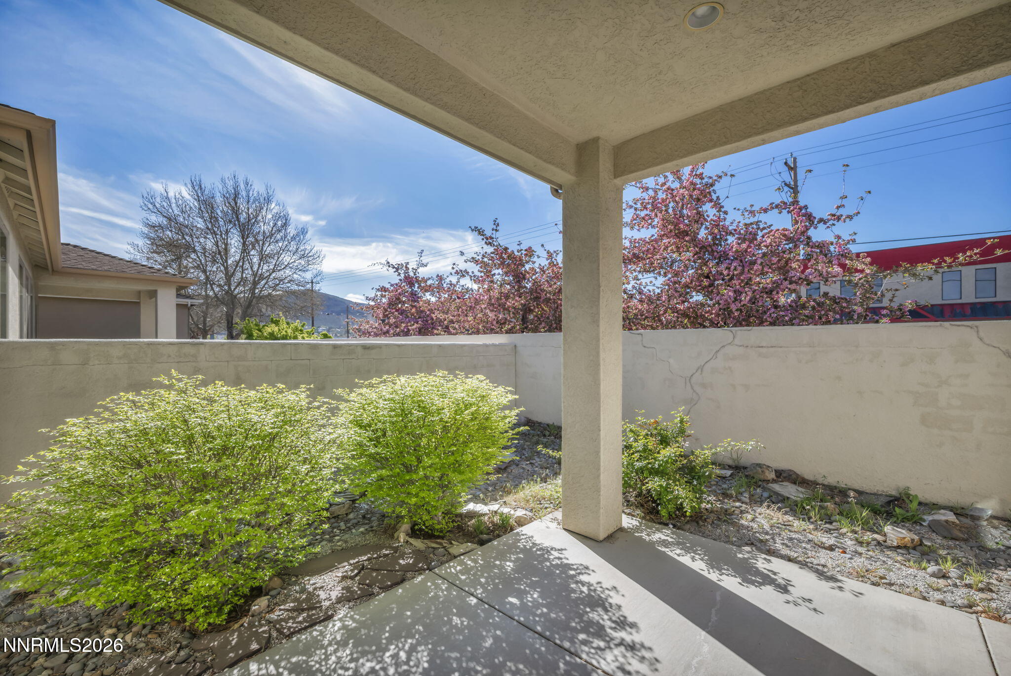 1115 Bandtail Drive