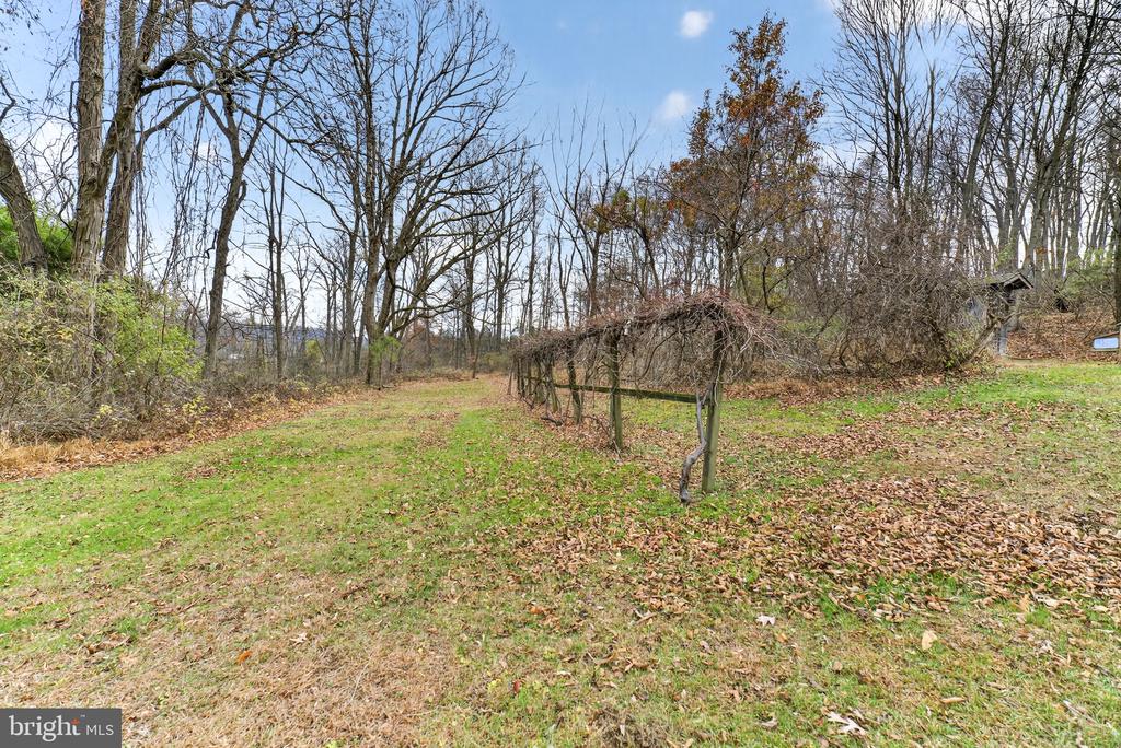297 FORGEDALE ROAD