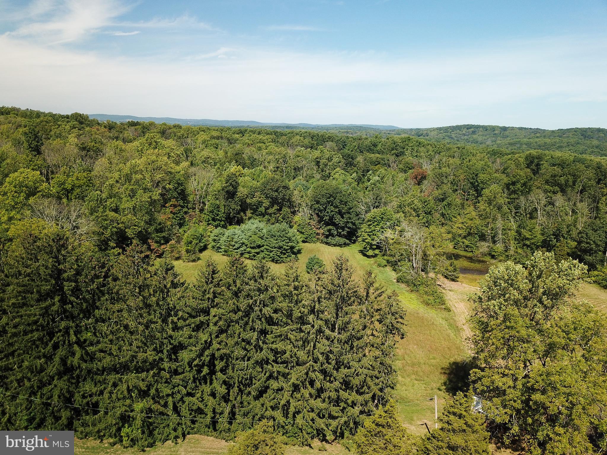 565 HILDEBRANDT ROAD