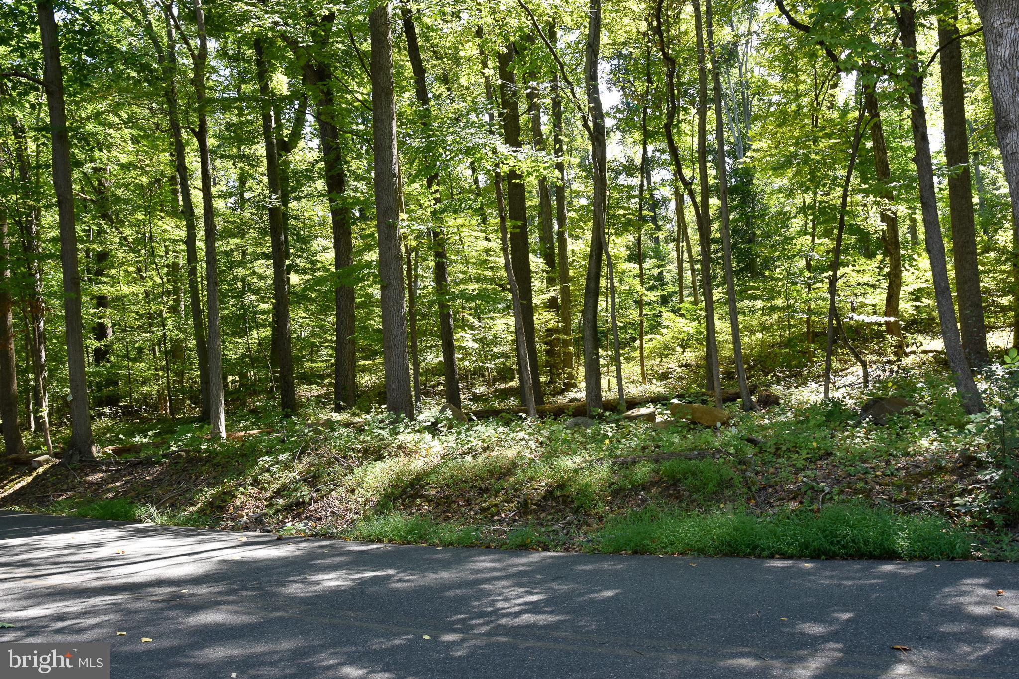 565 HILDEBRANDT ROAD