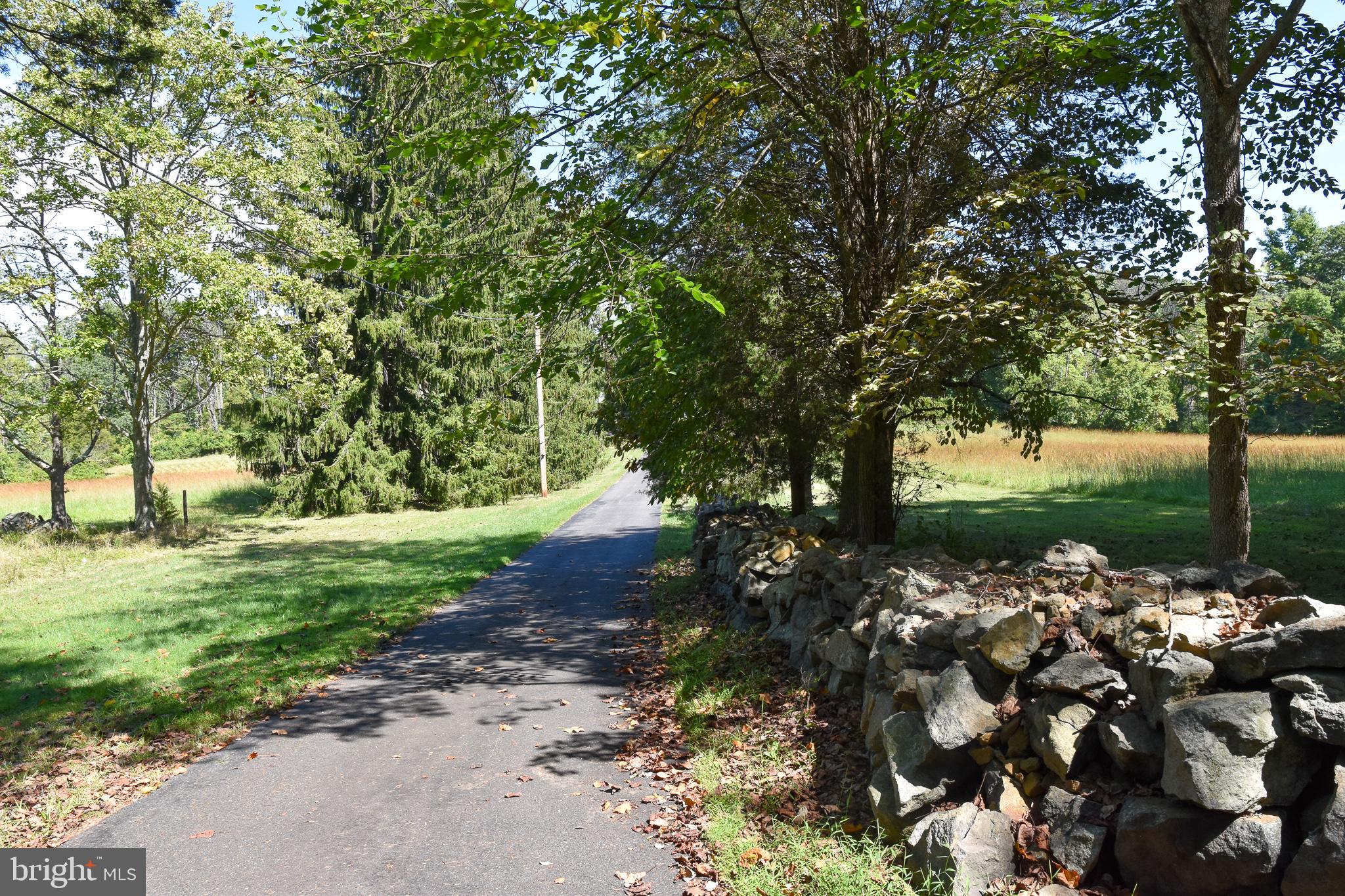 565 HILDEBRANDT ROAD