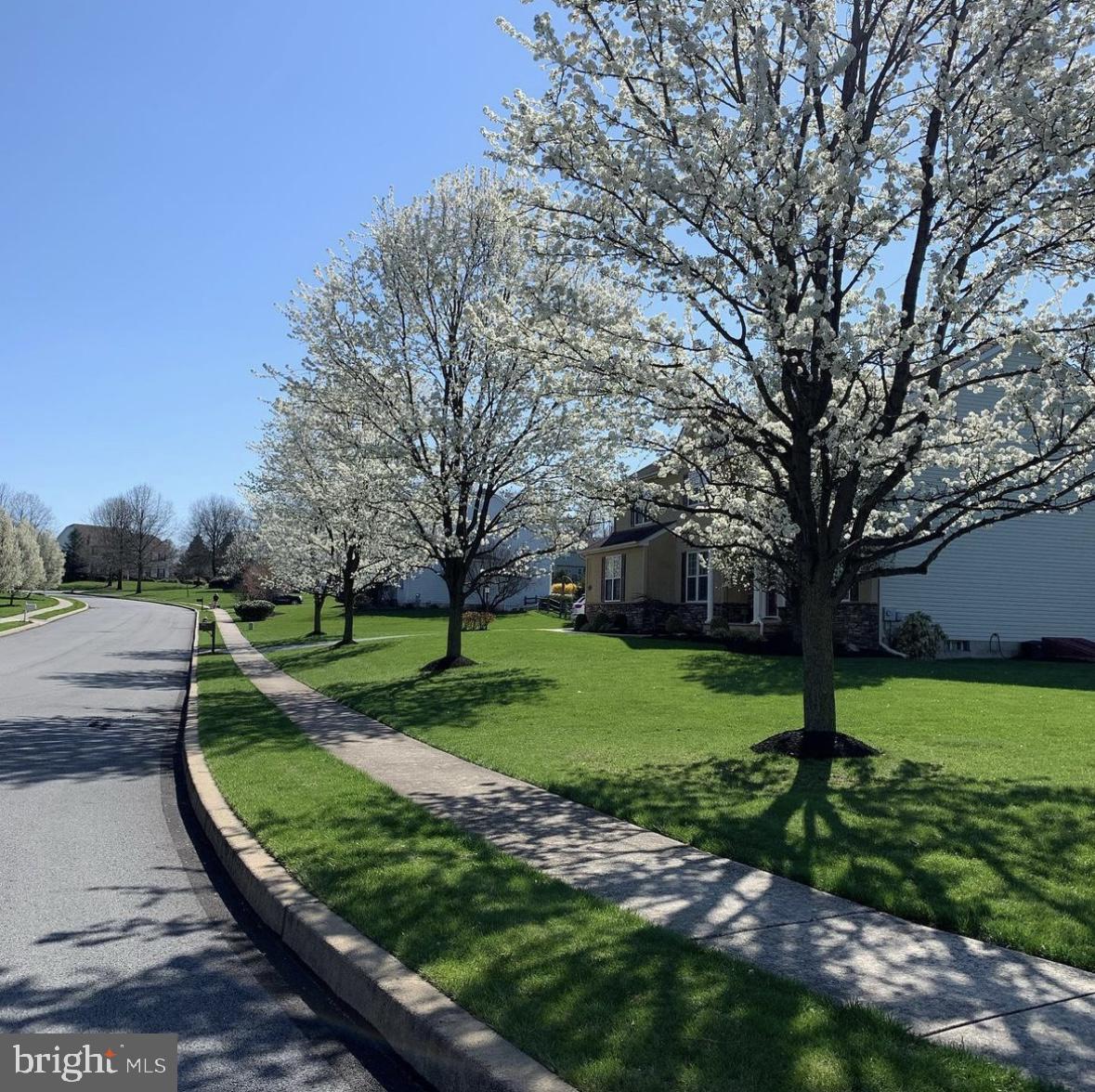 104 MEADOWGREEN DRIVE