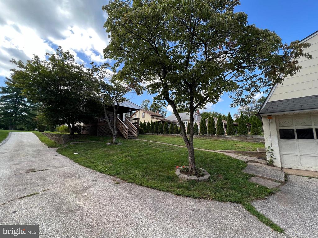 36 WILSON AVENUE