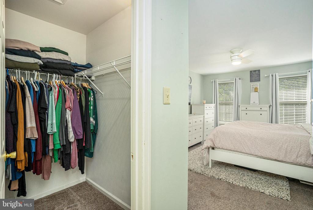 144 IVY LANE