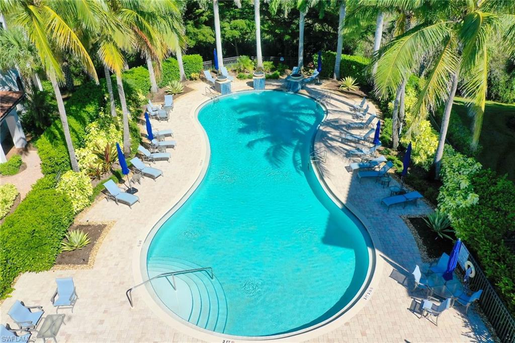 24451 Terzetto LN # 403