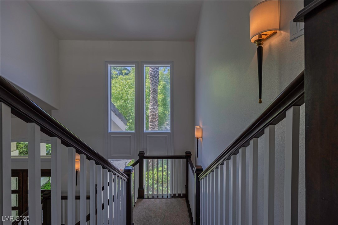 9213 White Tail Drive