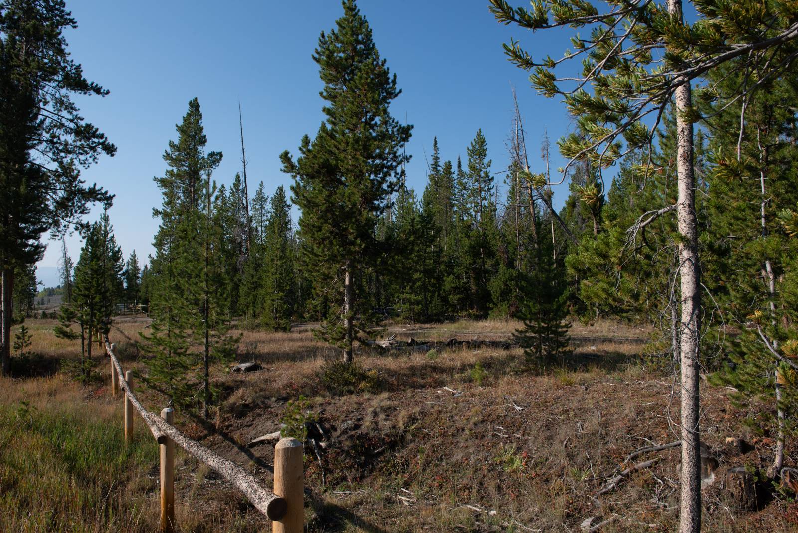 -- Ramshorn Ranch Rd.