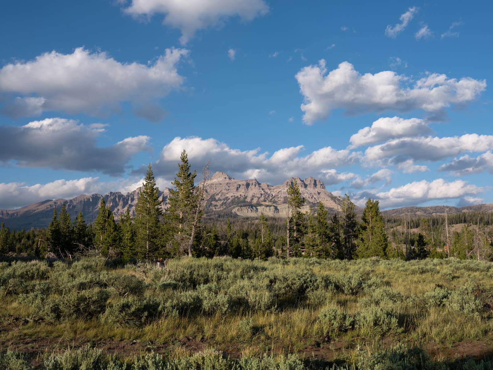 -- Ramshorn Ranch Rd.