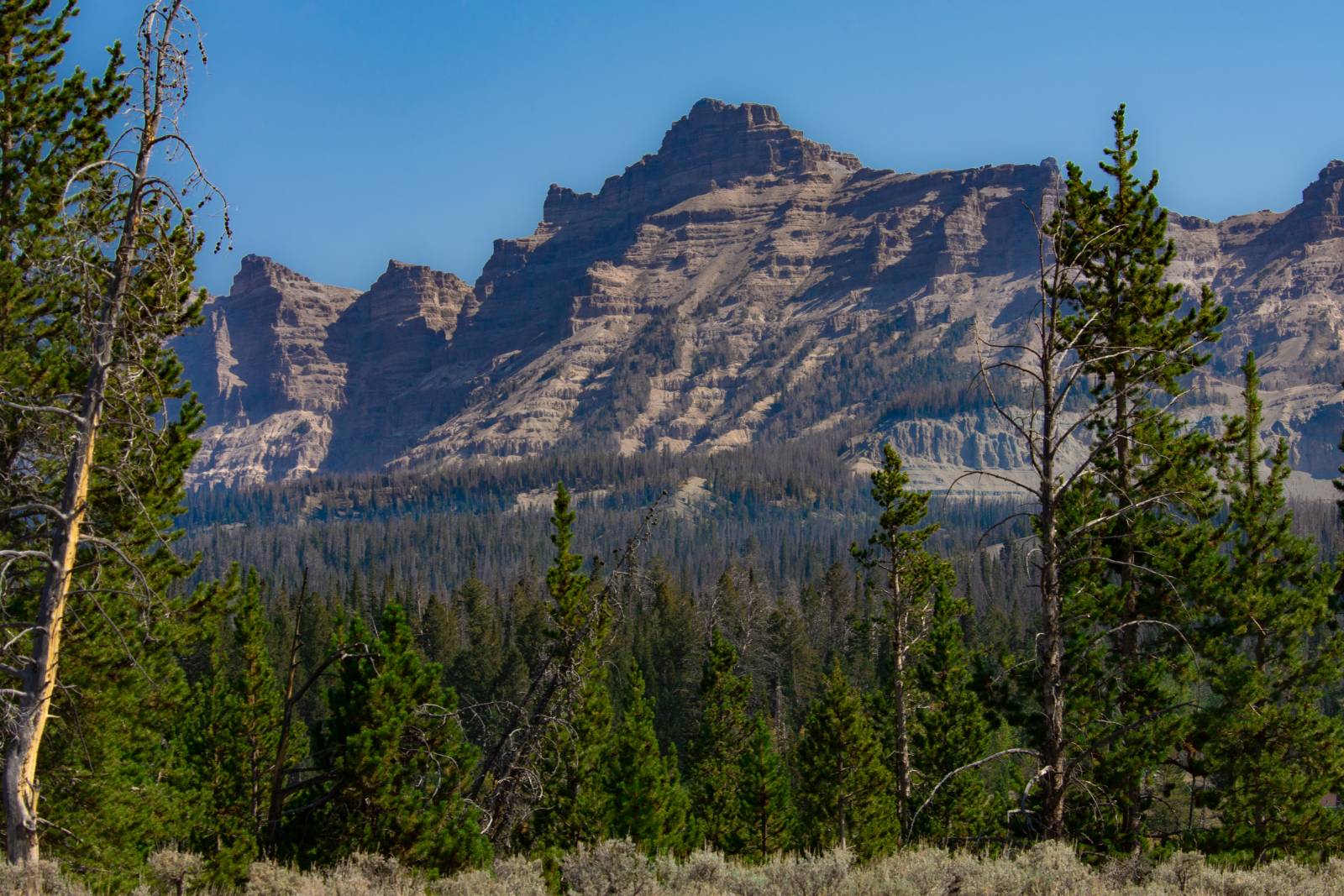 -- Ramshorn Ranch Rd.