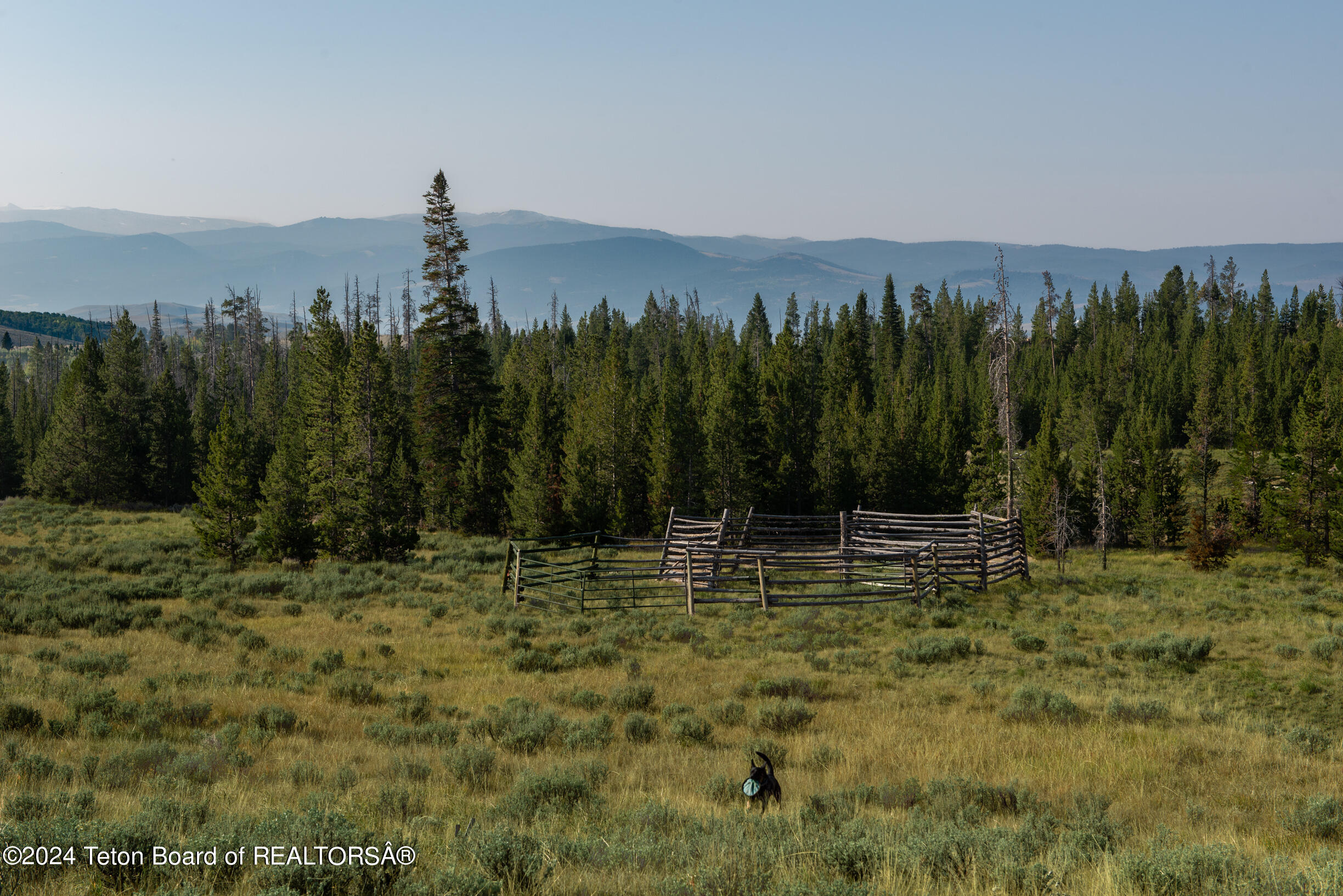 RAMSHORN RANCH Road