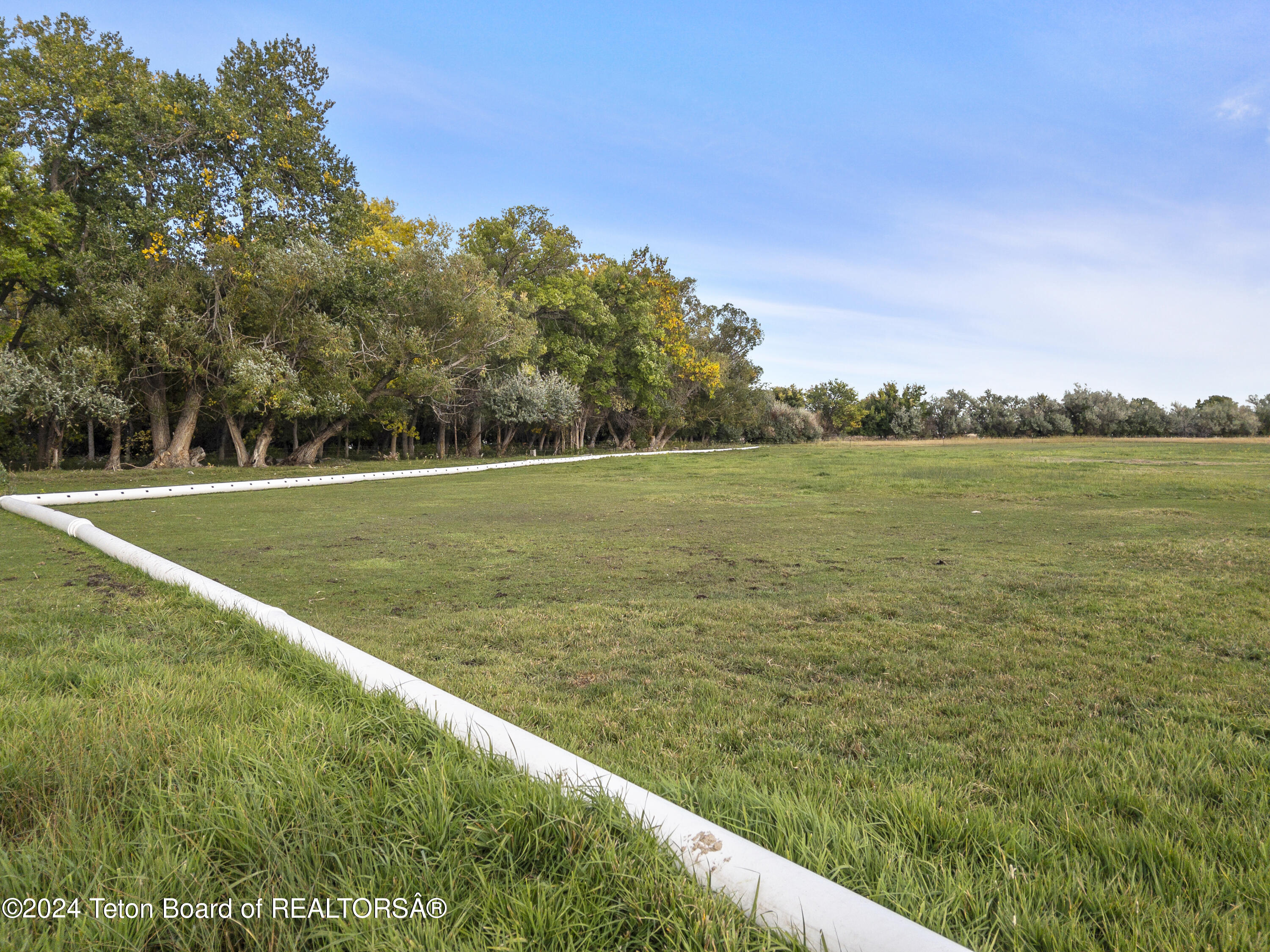 110 BUCKHORN FLATS Road