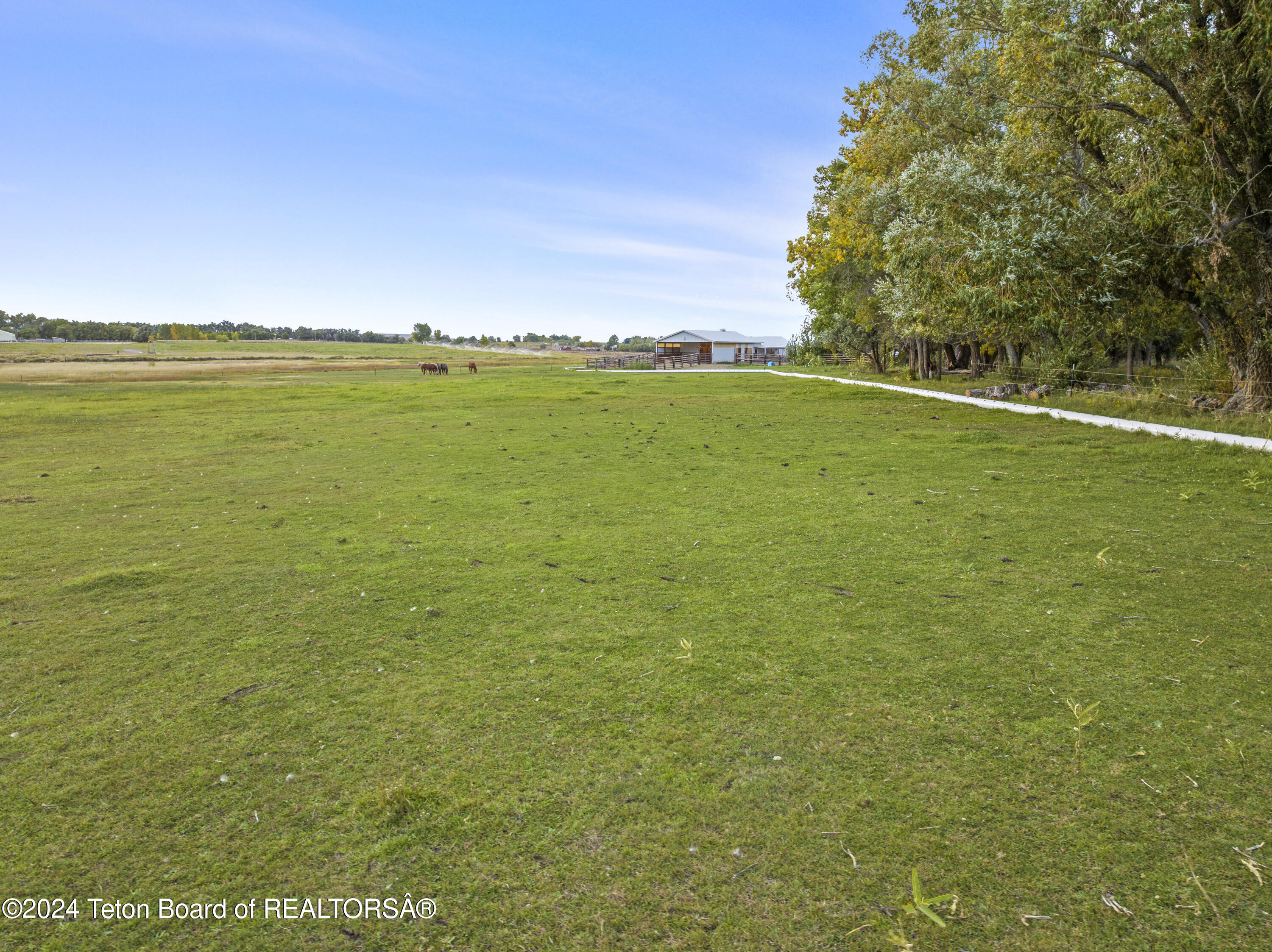 110 BUCKHORN FLATS Road