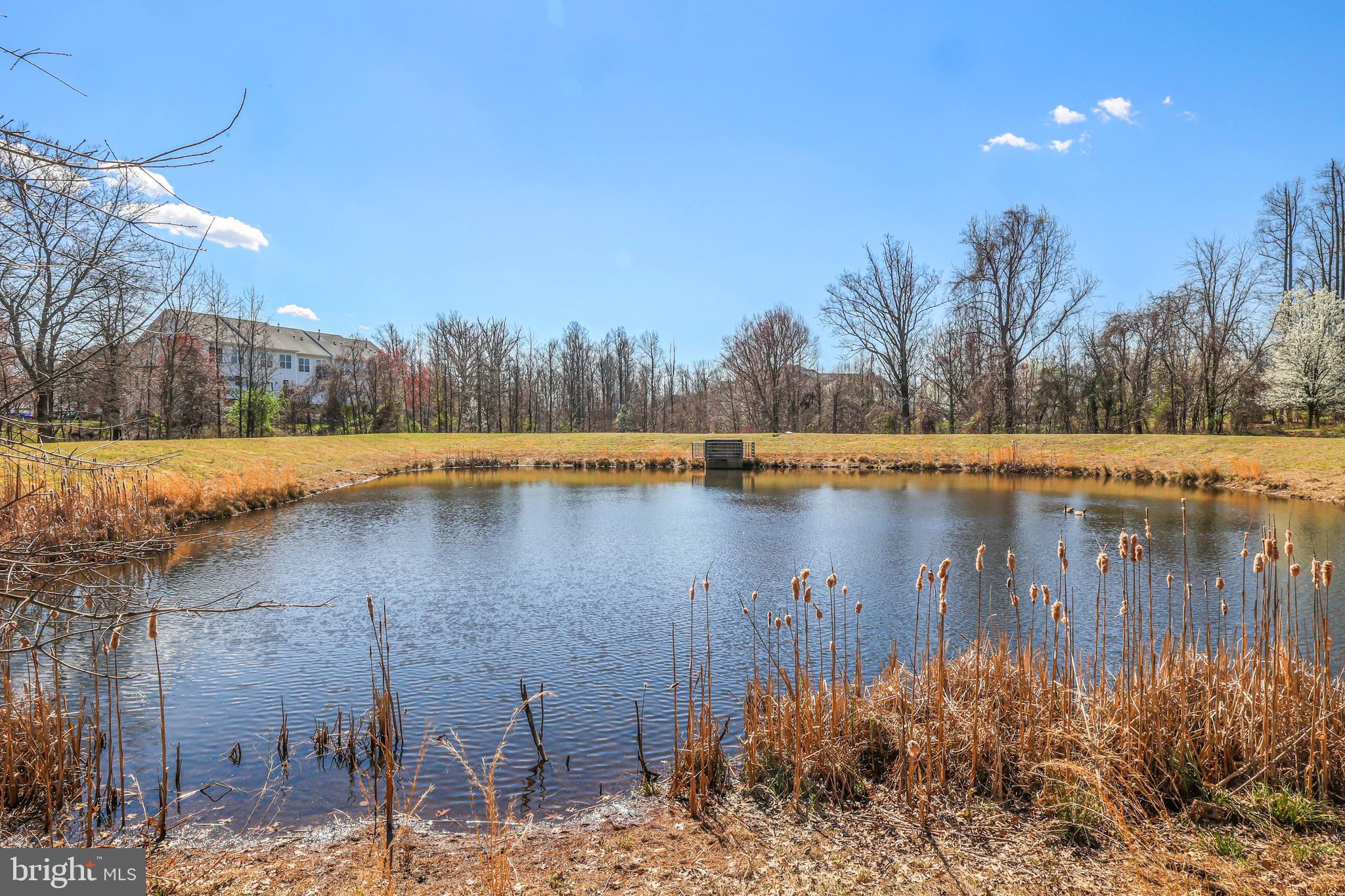 9803 SWEET MAPLE LANE
