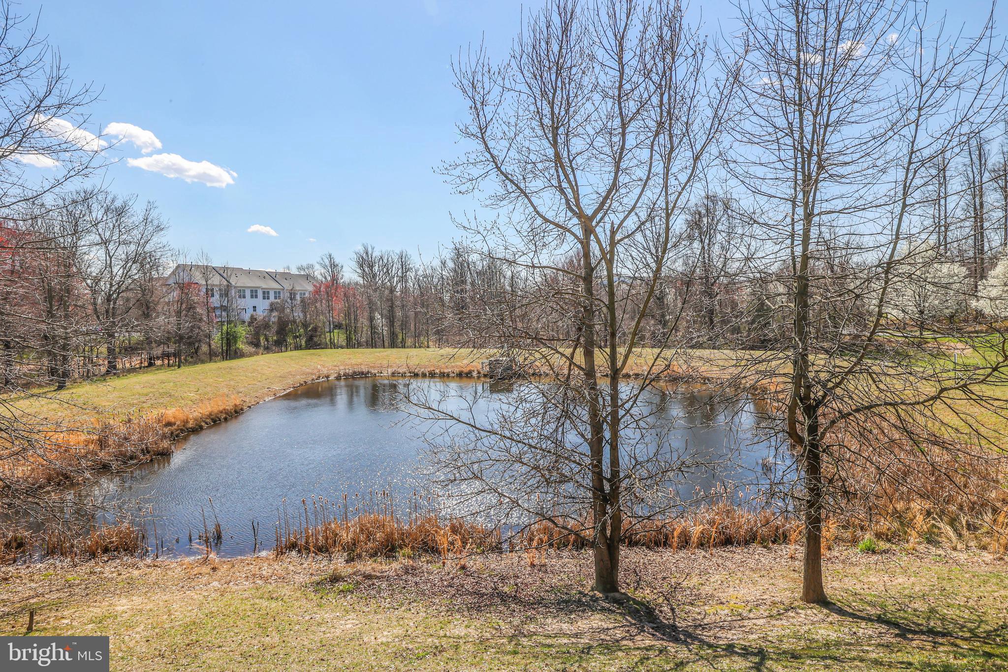 9803 SWEET MAPLE LANE