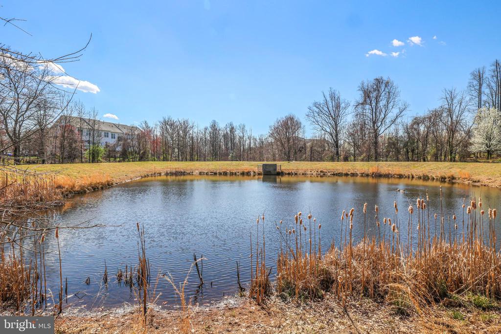 9803 SWEET MAPLE LANE