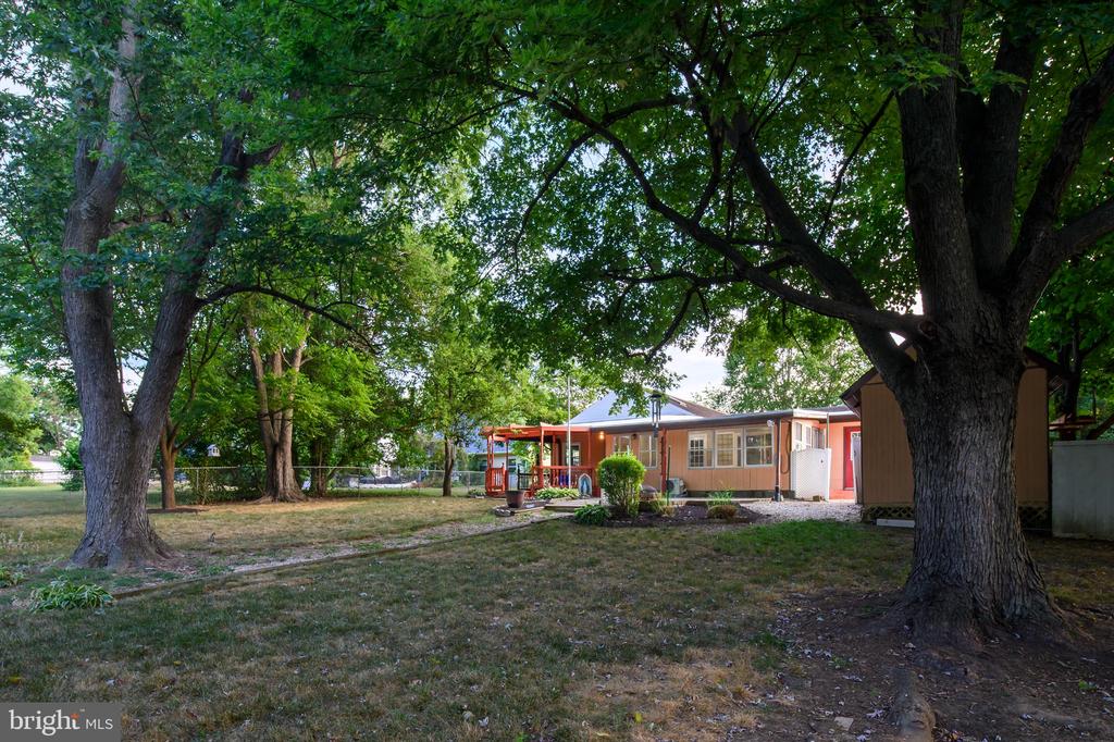 12608 BEECHFERN LANE