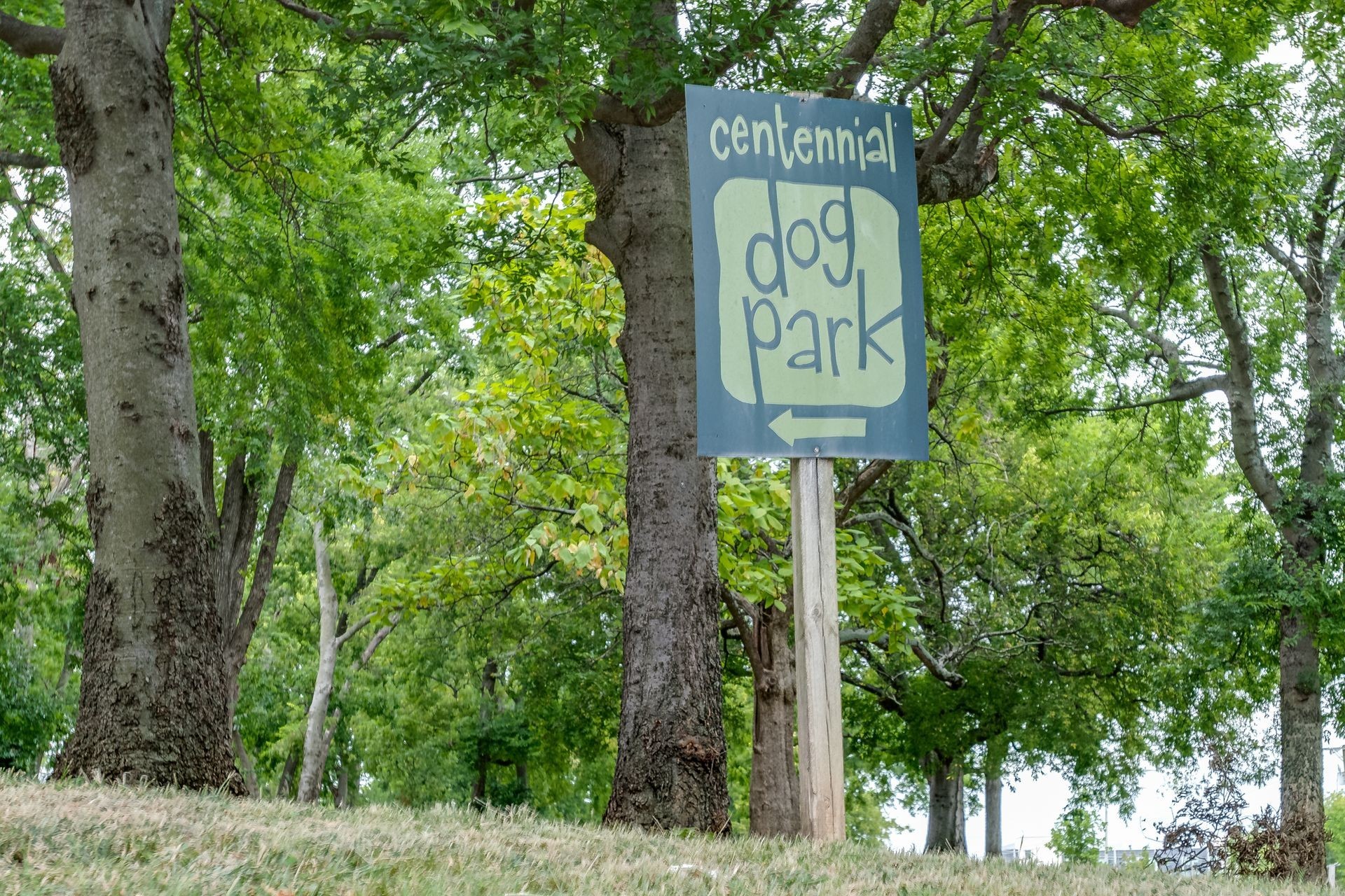 2905 Parthenon Ave Unit: 101