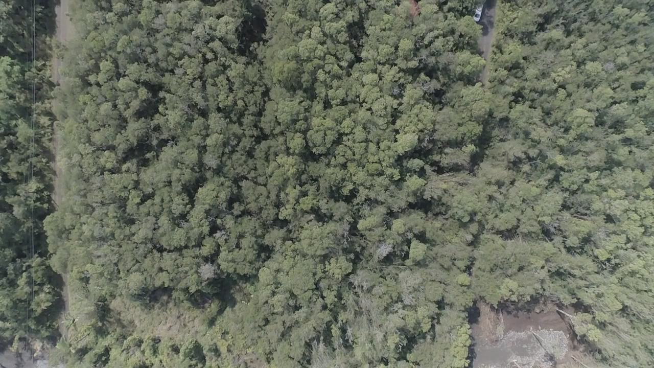 ROAD 13