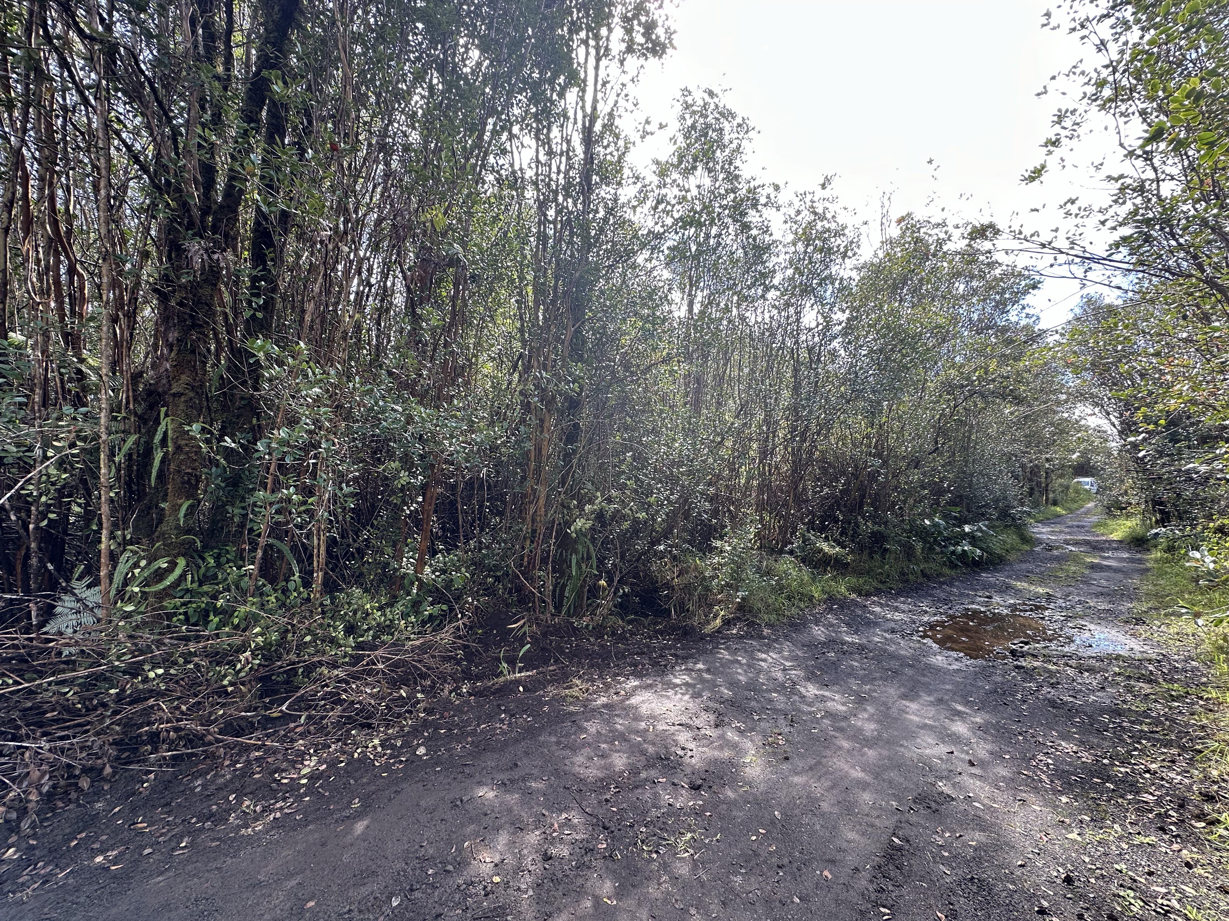 ROAD 13