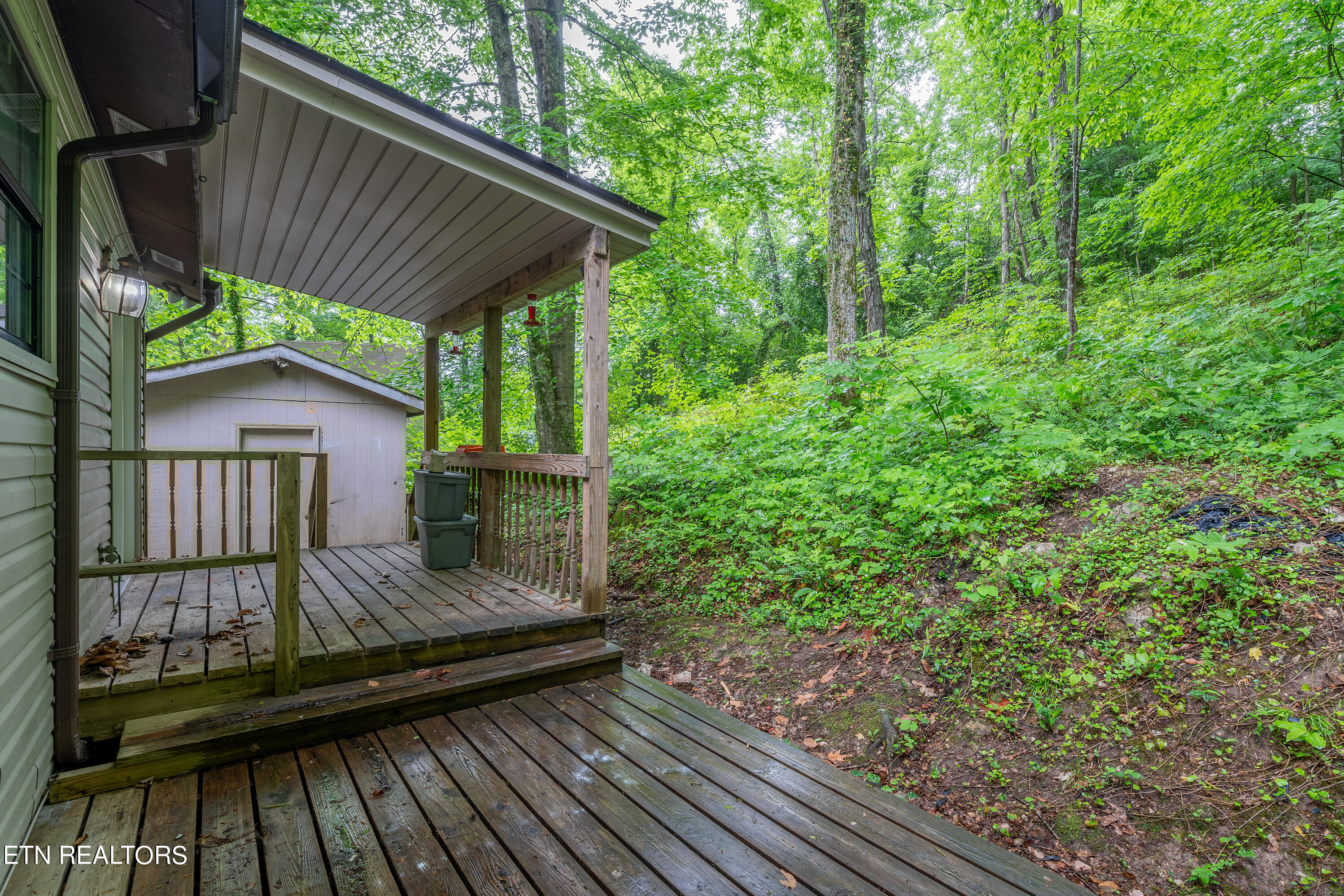 116 Suzanne Drive