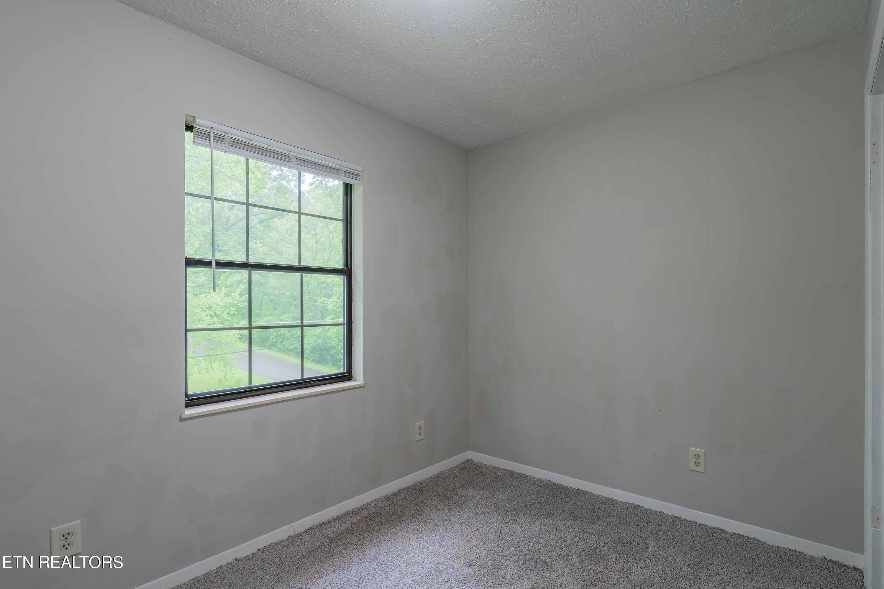 116 Suzanne Drive