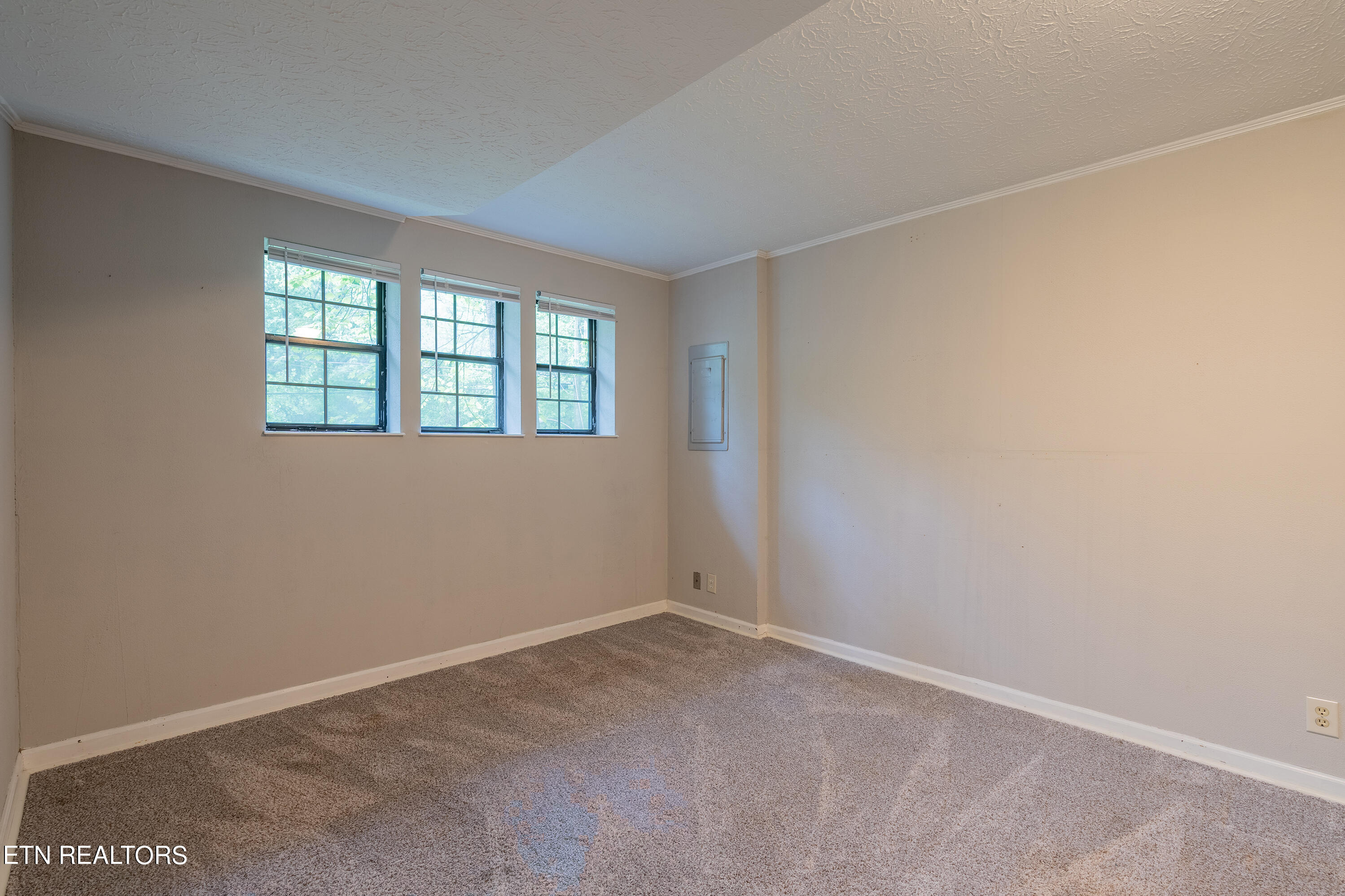 116 Suzanne Drive