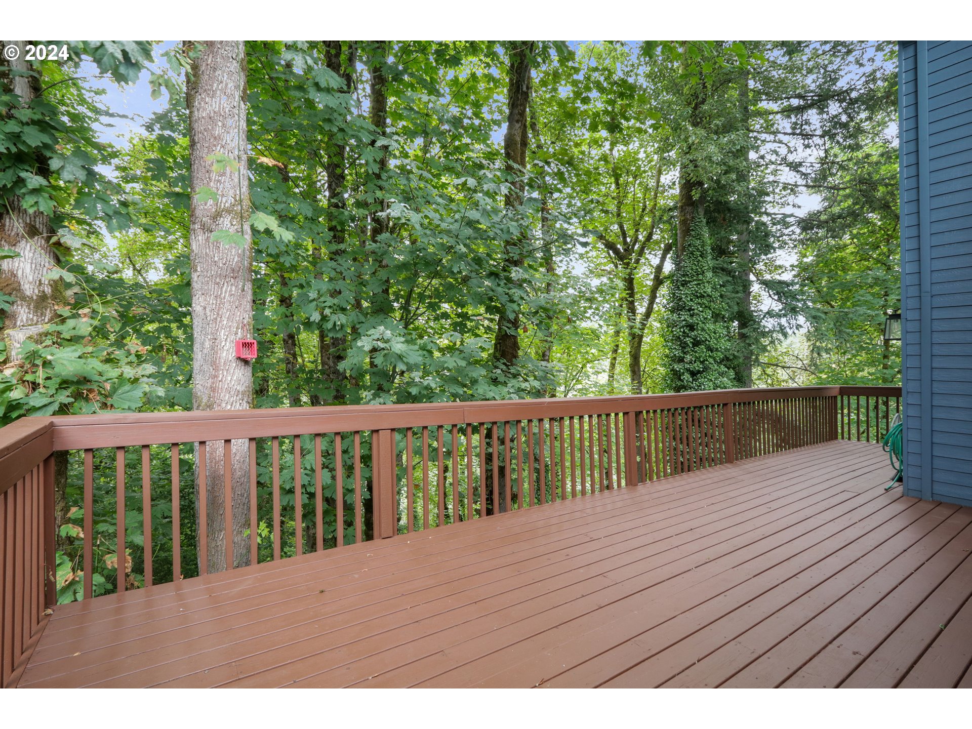 17405 WAKE ROBIN CIR