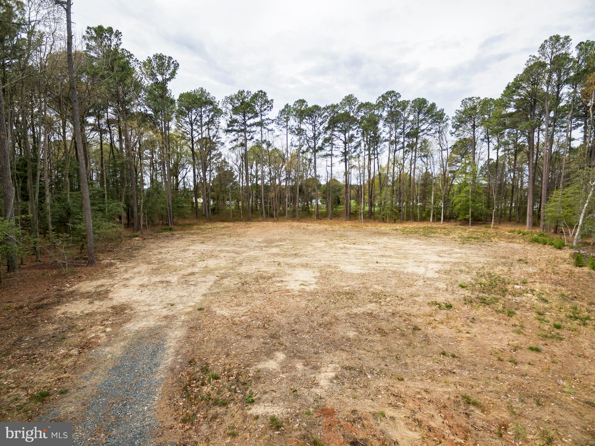 HOLLY WOODS ROAD