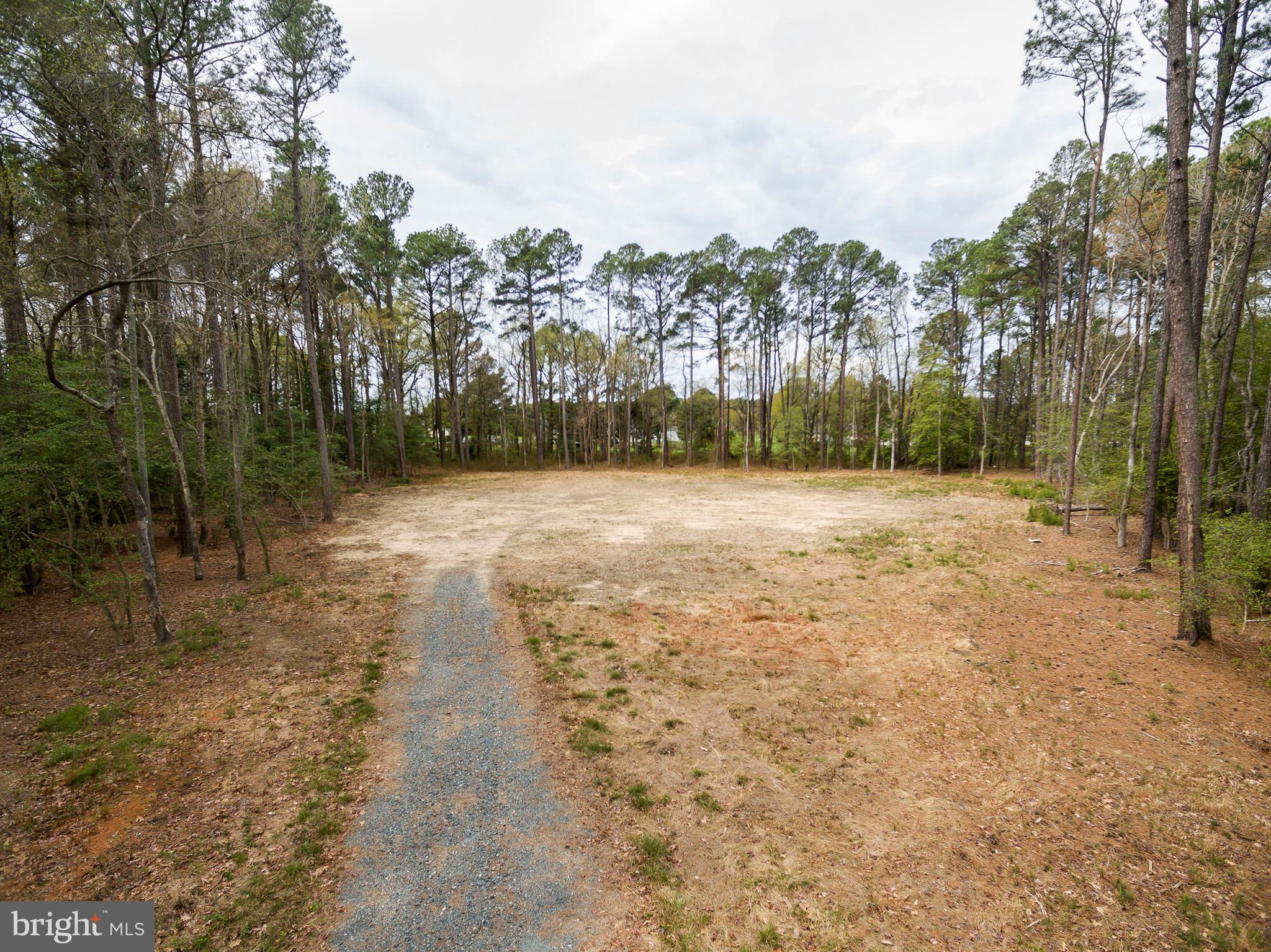 HOLLY WOODS ROAD