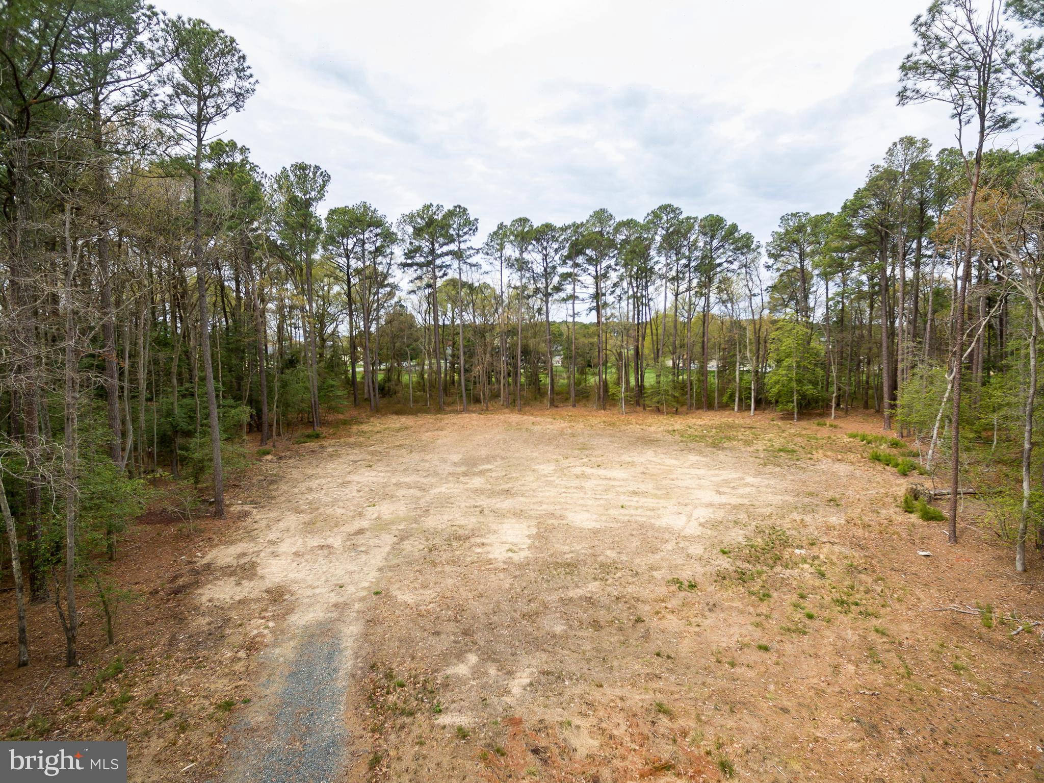 HOLLY WOODS ROAD