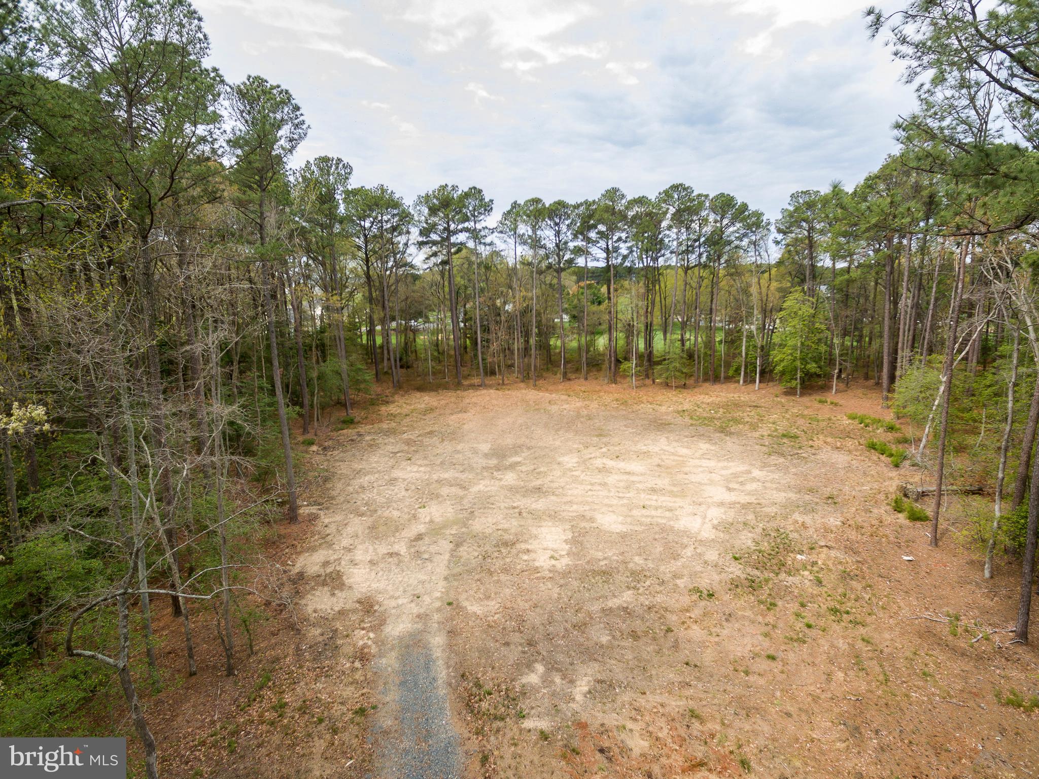 HOLLY WOODS ROAD