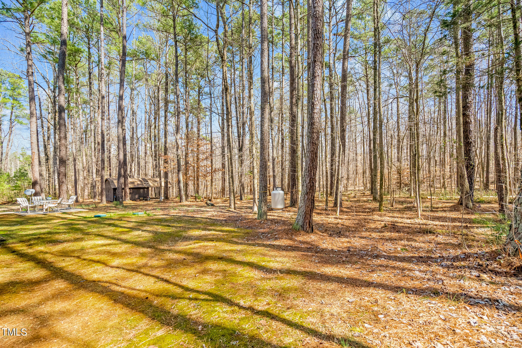 1101 Dimmocks Mill Road