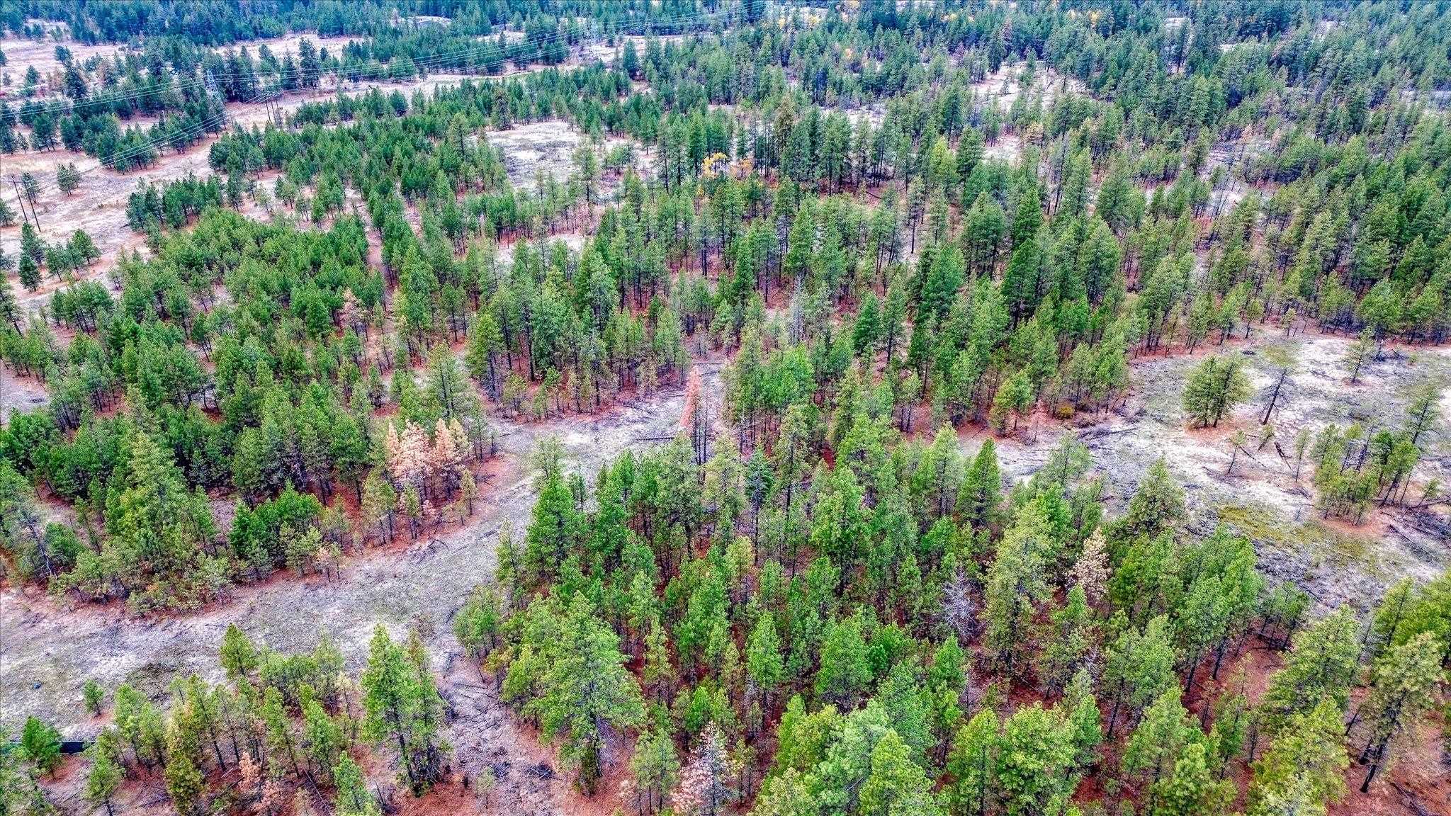 Photo 5 of 18818 W Burnett Rd